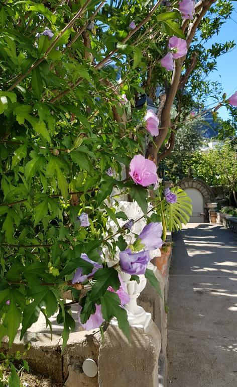 Casa Gaia Hotel Capri Bagian luar foto